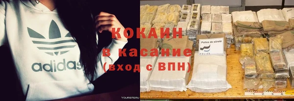 индика Абинск