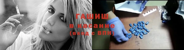 индика Абинск