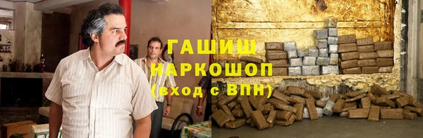 индика Абинск