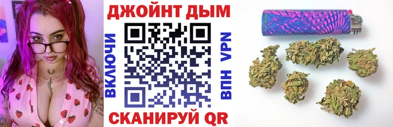Конопля гибрид  Западная Двина 
